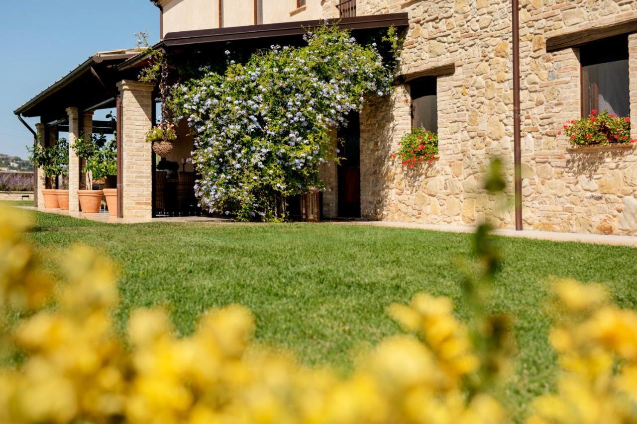 Agrirelais Collelago Massignano